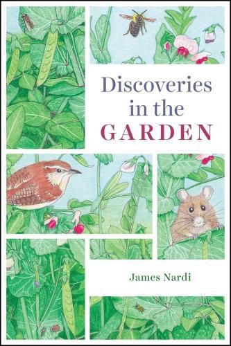 Cover image for Discoveries in the Garden