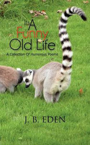 Cover image for Its a Funny Old Life