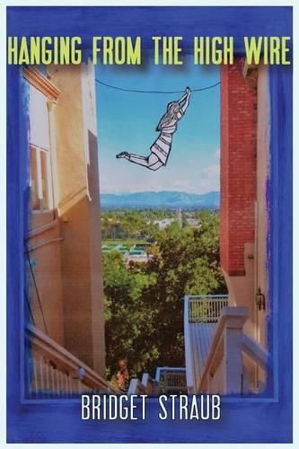 Cover image for Hanging From the High Wire