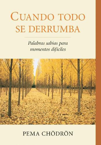 Cover image for Cuando todo se derrumba (When Things Fall Apart): Palabras sabias para momentos dificiles