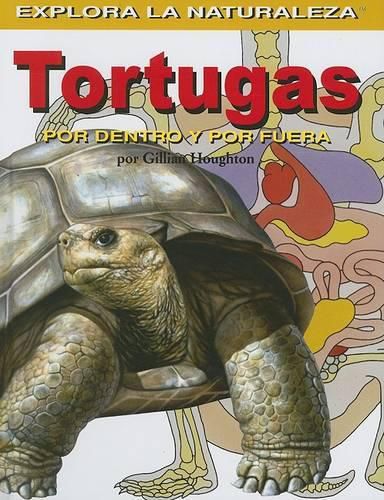 Cover image for Tortugas: Por Dentro Y Por Fuera (Turtles: Inside and Out)