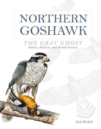 Cover image for Northern Goshawk, the Gray Ghost: Habits, Habitat, and Rehabilitation