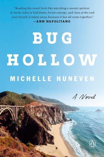 Cover image for Bug Hollow