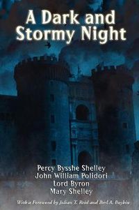 Cover image for A Dark and Stormy Night
