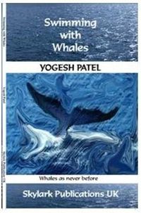 Cover image for Swimming with Whales: Whales as Never Before