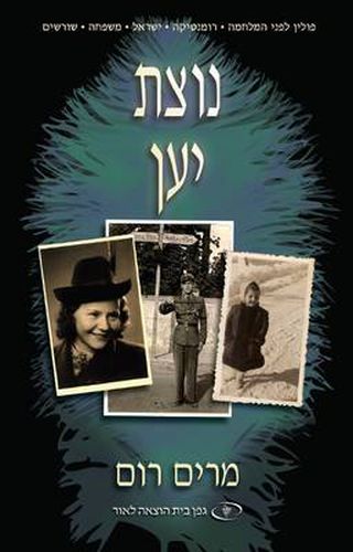 Cover image for Ostrich Feathers