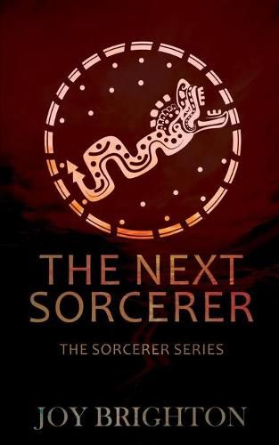 Cover image for The Next Sorcerer