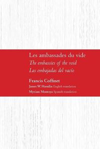 Cover image for Les ambassades du vide