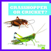 Cover image for Grasshopper or Cricket?