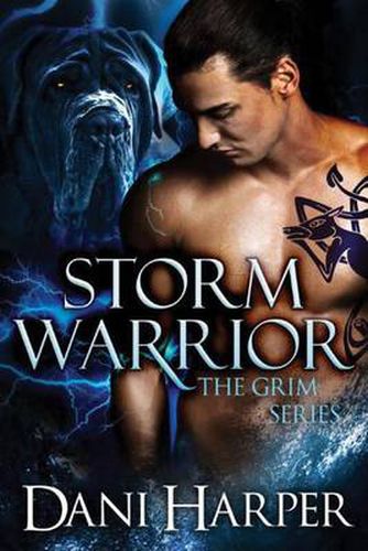 Cover image for Storm Warrior