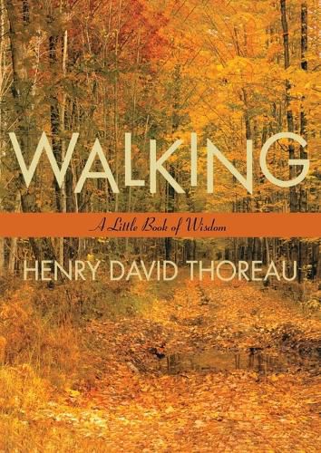Cover image for Walking