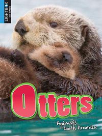 Cover image for Otters