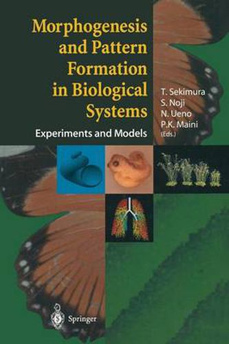 Morphogenesis and Pattern Formation in Biological Systems: Experiments and Models