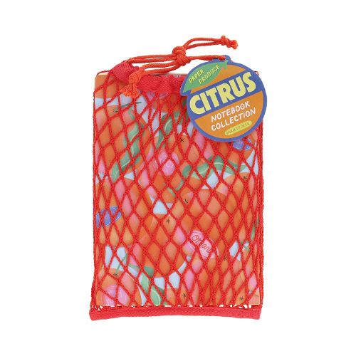 Cover image for Paper Produce Citrus Notebook Collection