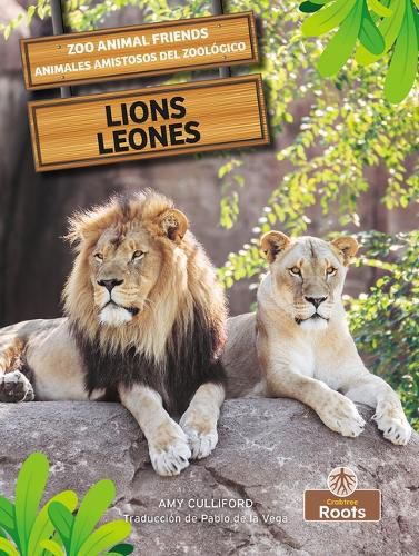 Cover image for Leones (Lions) Bilingual Eng/Spa