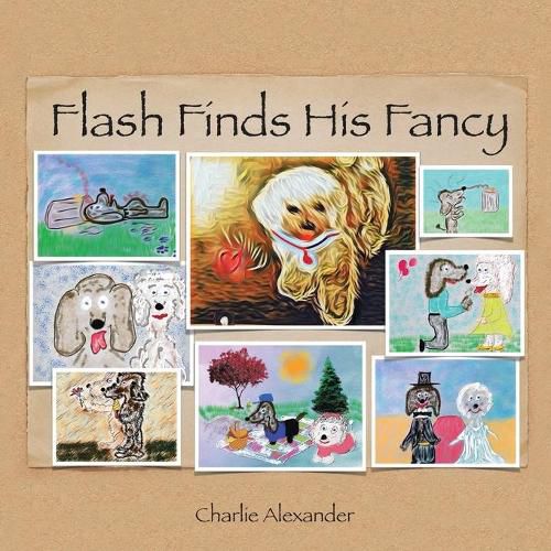 Cover image for Flash Finds His Fancy