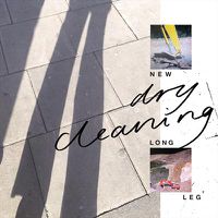 Cover image for New Long Leg ** Vinyl