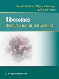 Cover image for Ribosomes  Structure, Function, and Dynamics