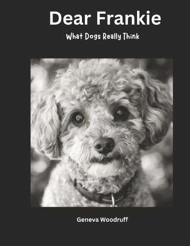 Cover image for Dear Frankie