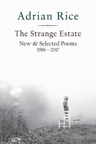 Cover image for The Strange Estate: New & Selected Poems 1986 - 2017