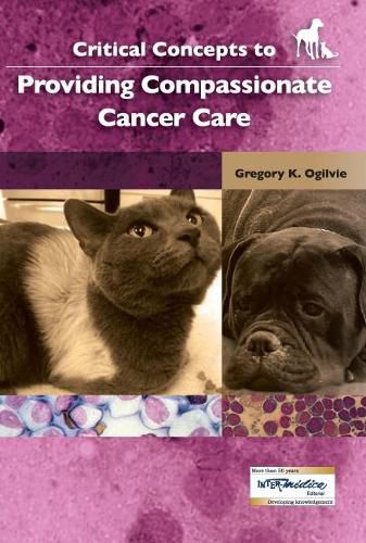 Cover image for Critical Concepts to Providing Compassionate Cancer Care