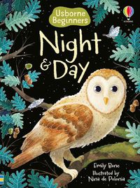 Cover image for Night and Day