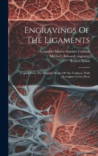 Engravings Of The Ligaments