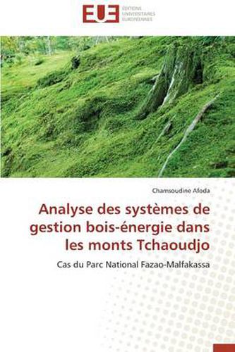 Cover image for Analyse Des Syst mes de Gestion Bois- nergie Dans Les Monts Tchaoudjo