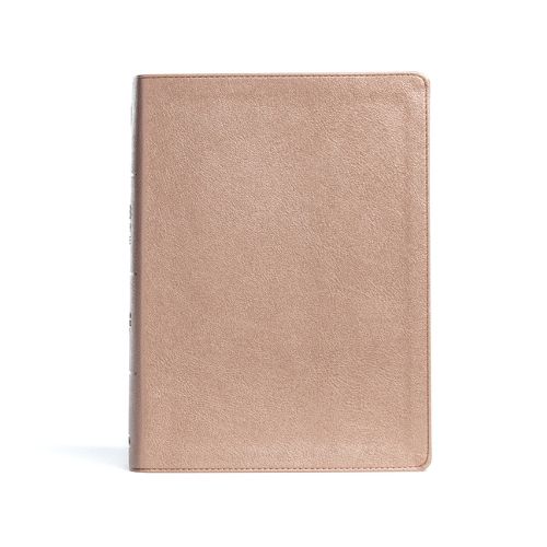 Cover image for CSB Study Bible, Rose Gold LeatherTouch, Indexed