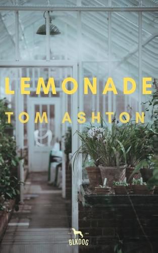 Cover image for Lemonade