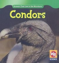 Cover image for Condors