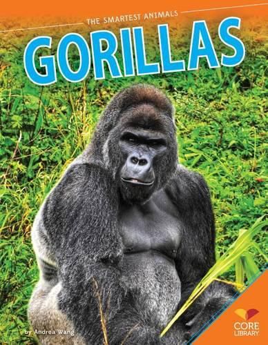 Cover image for Gorillas