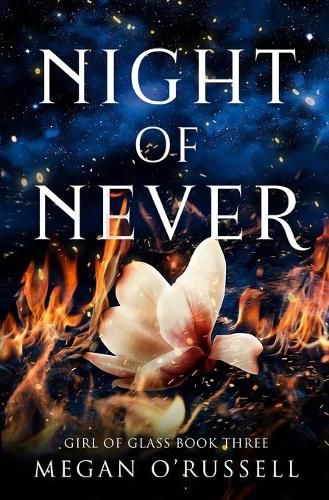 Cover image for Night of Never