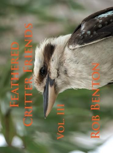 Cover image for Feathered Critter Friends Vol. III