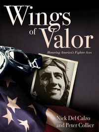 Cover image for Wings of Valor: Honoring America's Fighter Aces