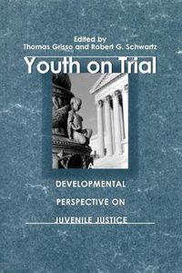 Cover image for Youth on Trial: A Developmental Perspective on Juvenile Justice