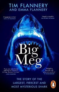 Cover image for Big Meg