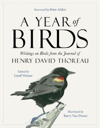 Cover image for A Year of Birds