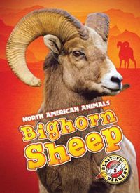 Cover image for Bighorn Sheep