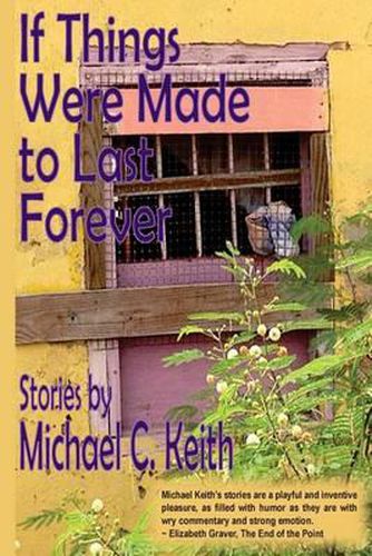 Cover image for If Things Were Made to Last Forever