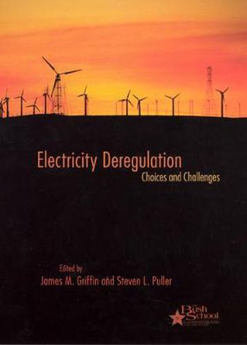 Cover image for Electricity Deregulation: Choices and Challenges