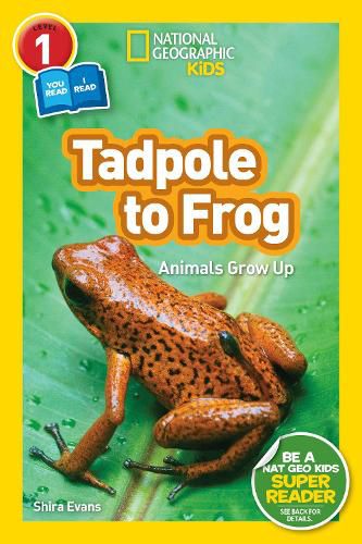 Cover image for National Geographic Readers: Tadpole to Frog (L1/Co-Reader)