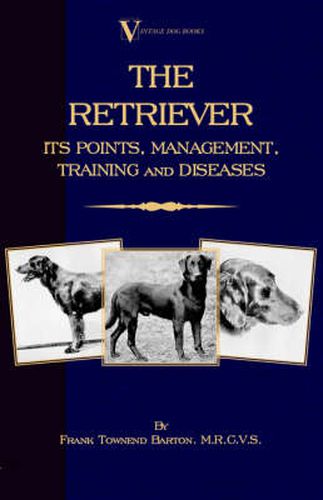 Cover image for The Retriever: Its Points; Management; Training & Diseases (Labrador, Flat-Coated, Curly-Coated)