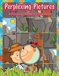 Cover image for Perplexing Pictures: A Puzzling Hidden Picture Book