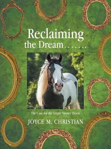Cover image for Reclaiming the Dream.......