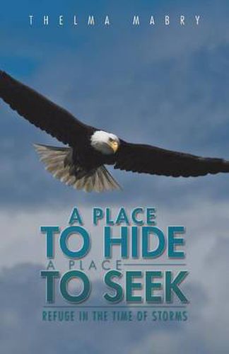 Cover image for A Place to Hide a Place to Seek: Refuge in the Time of Storms