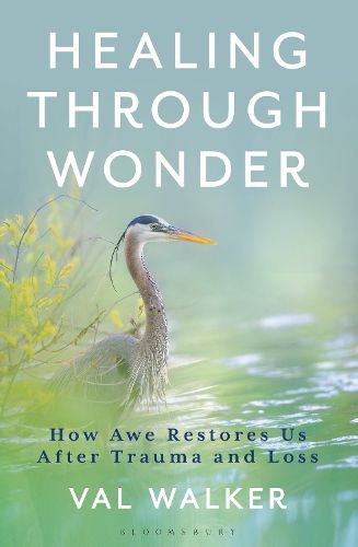 Cover image for Healing Through Wonder