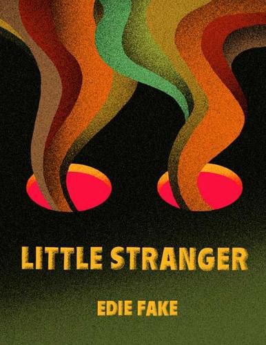 Cover image for Little Stranger