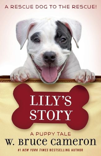 Cover image for Lily's Story