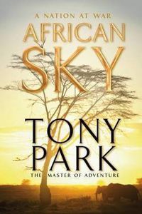 Cover image for African Sky